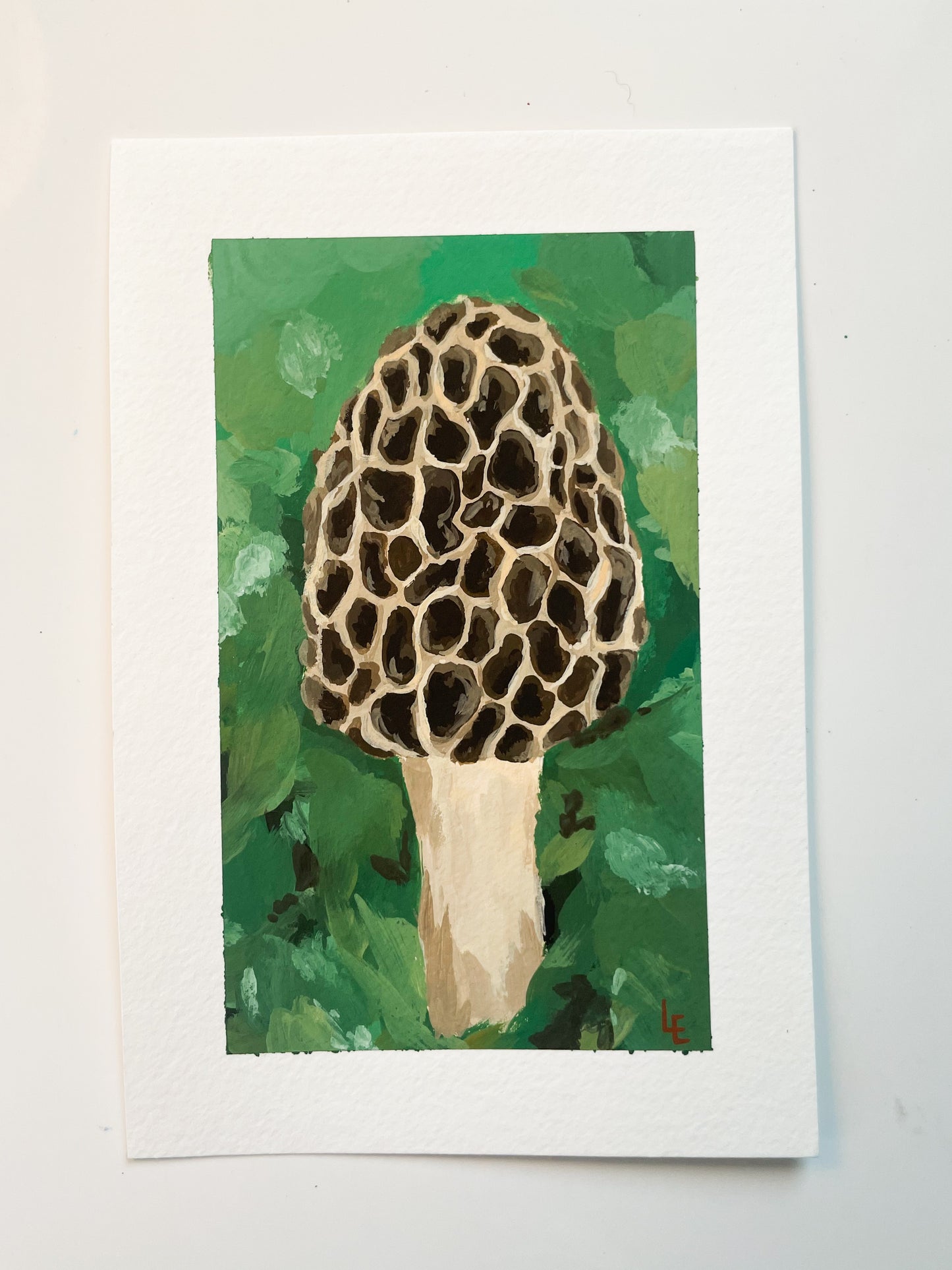 Morel Study #2