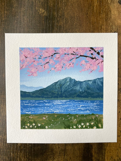 Cherry Blossom View