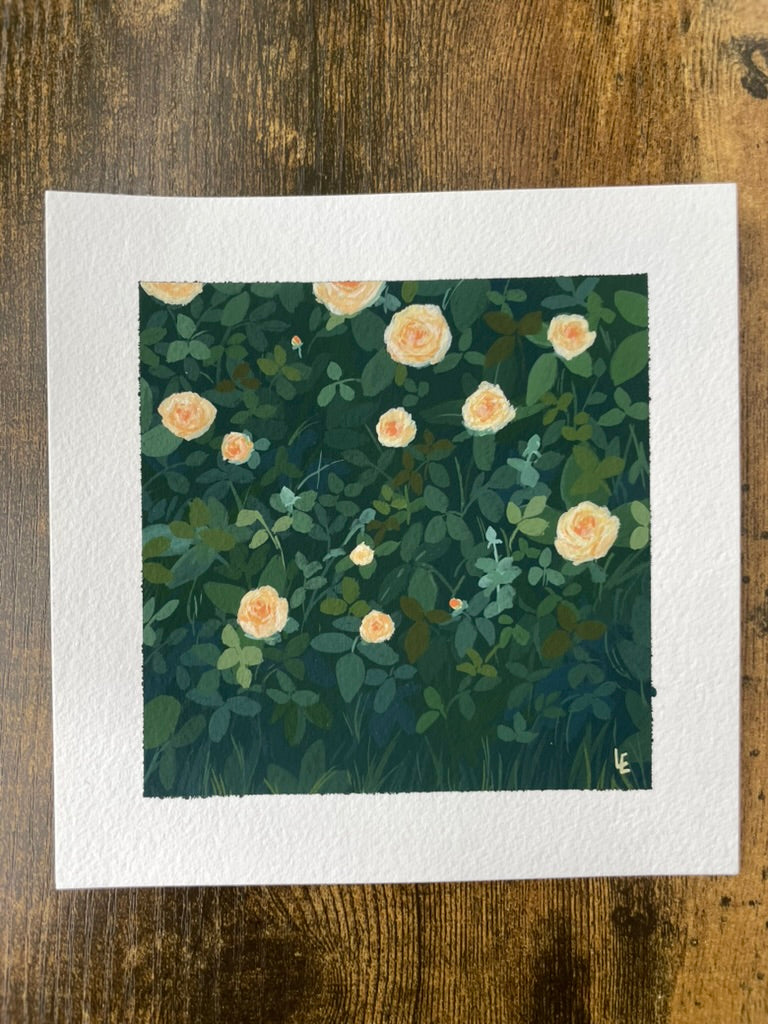 Yellow Roses