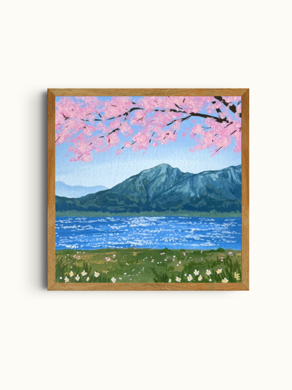 Cherry Blossom View