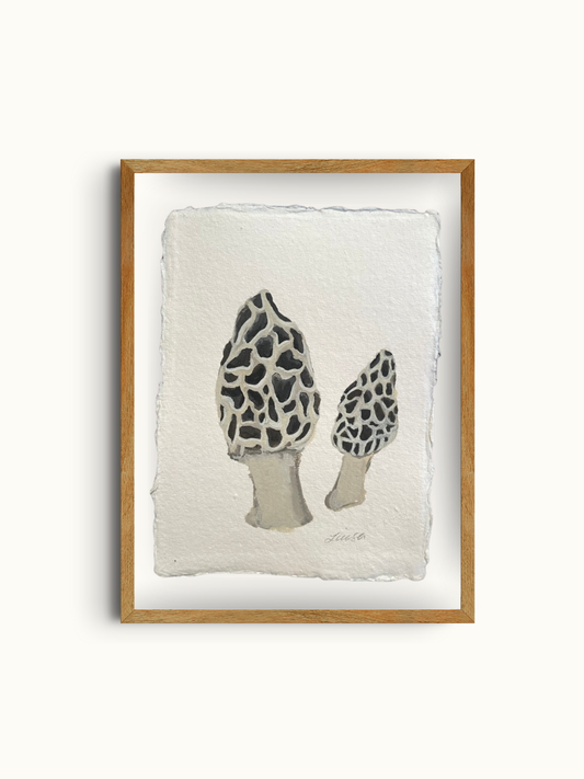 Morel Study #3