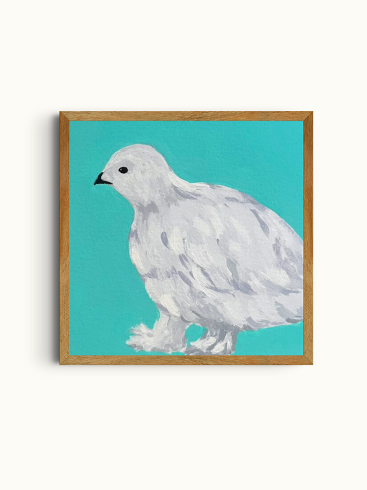 Ptarmigan Study #1