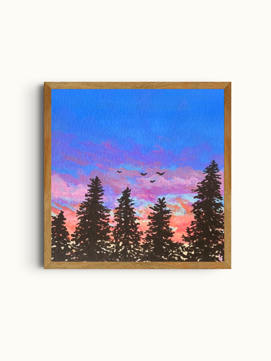 Colourful Skies