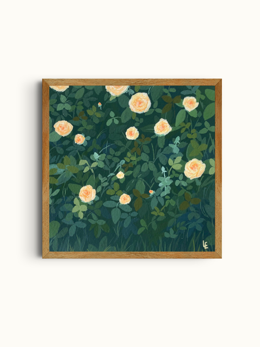 Yellow Roses